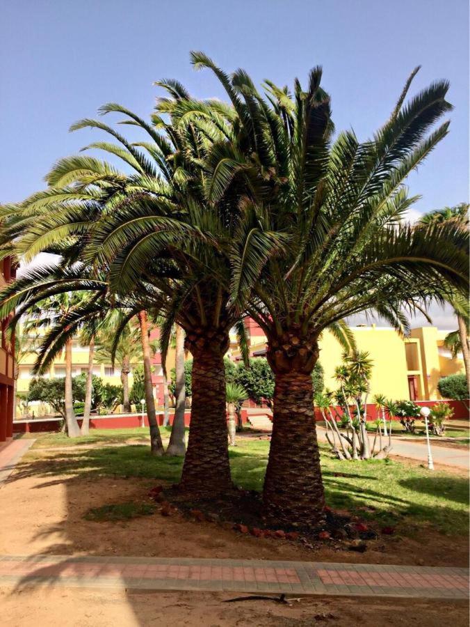 Parque Holandes Pax Et Bonum 아파트 외부 사진